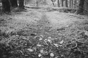 Asiakaspolku